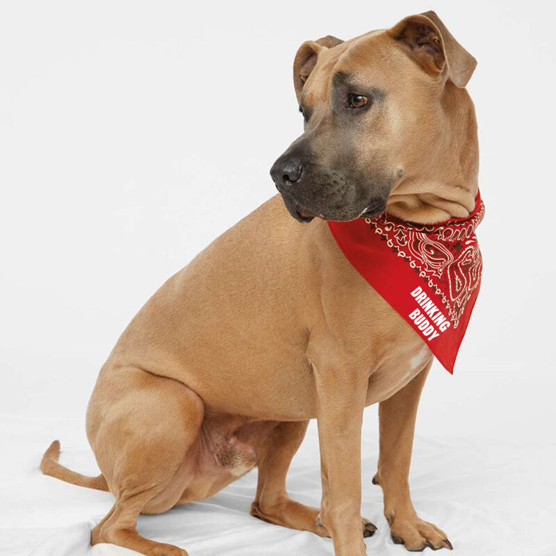 Doggie Skins - USA-Made Doggie Bandana - Printed Logo Thumbnail